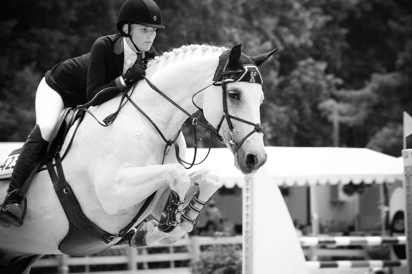 Hunter Jumper Classic 