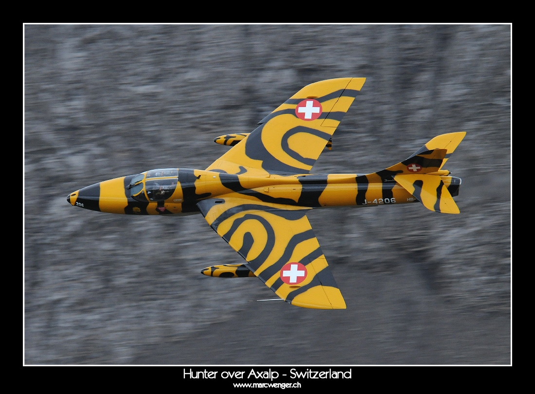 Hunter over Axalp - Switzerland