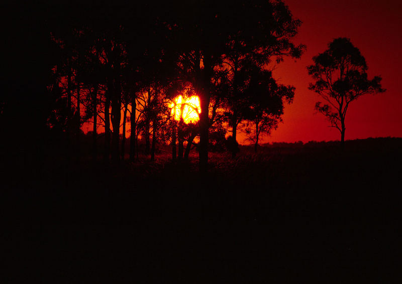 Hunter Valley Morning