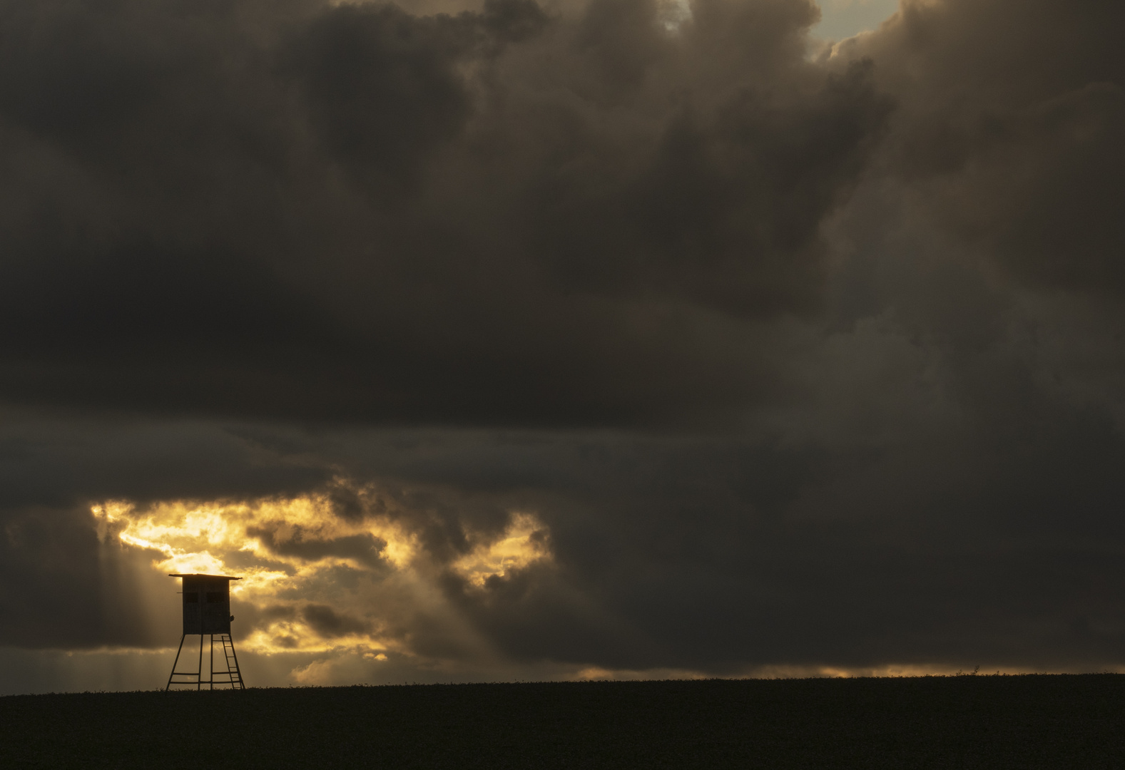 Hunters in the storm IV