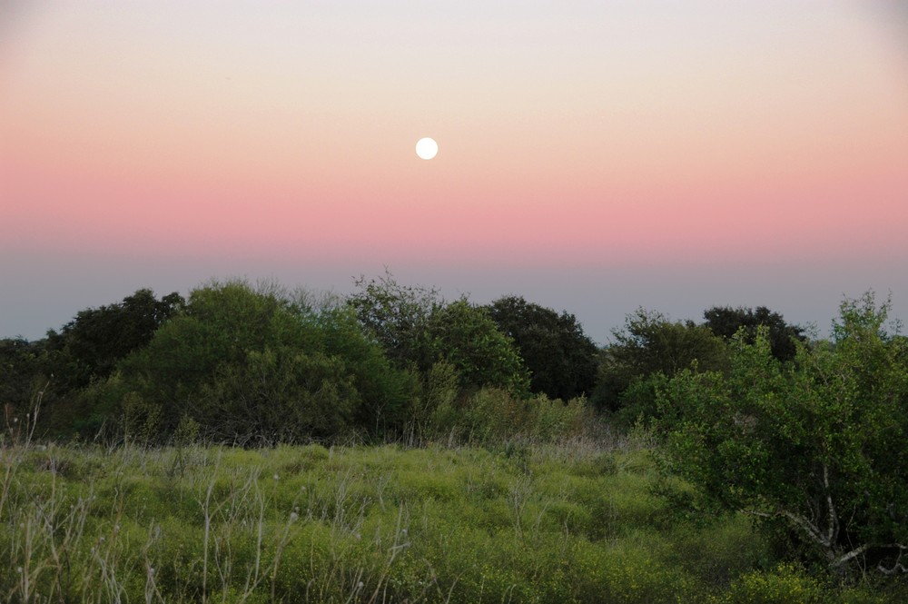 Hunter's Moonrise II