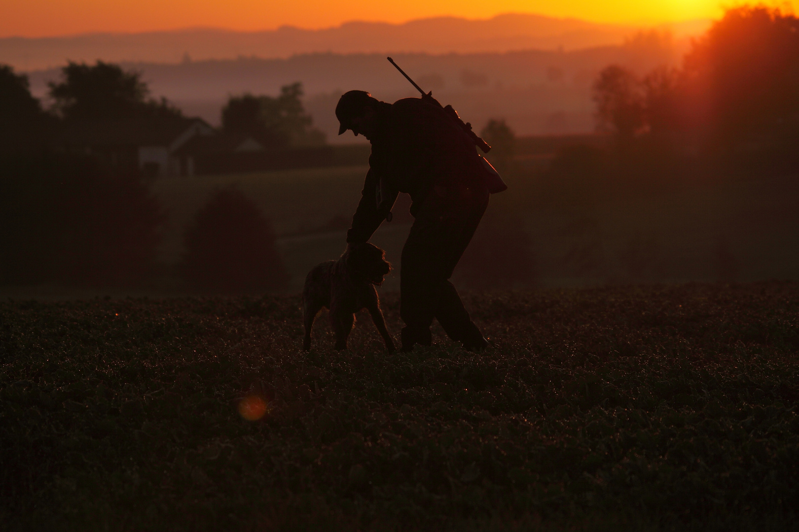 Hunting in the sunrise...