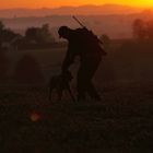 Hunting in the sunrise...