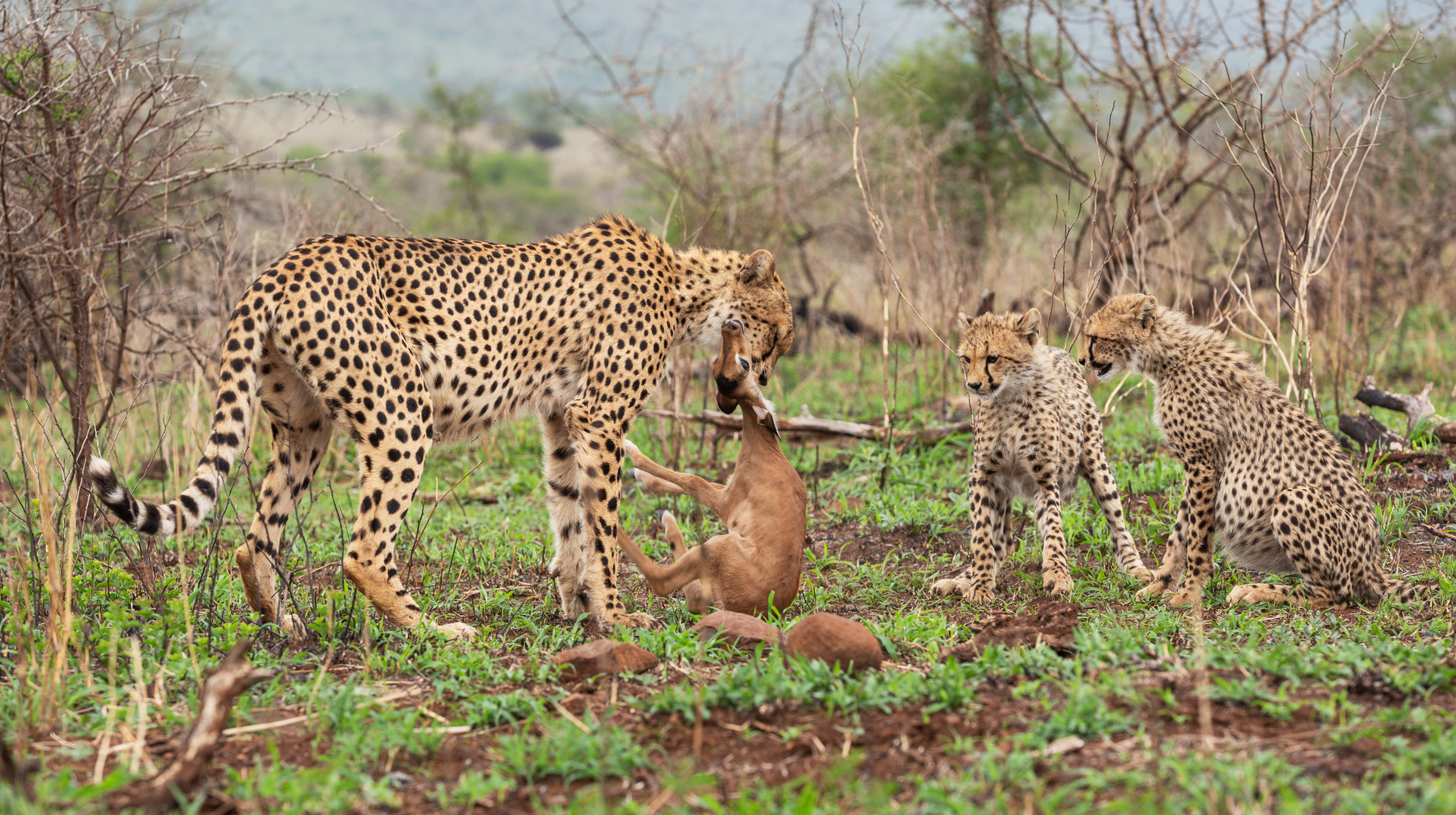 hunting lesson