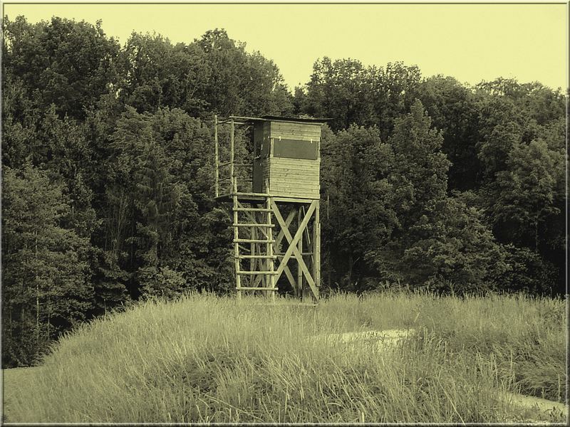 hunting stand