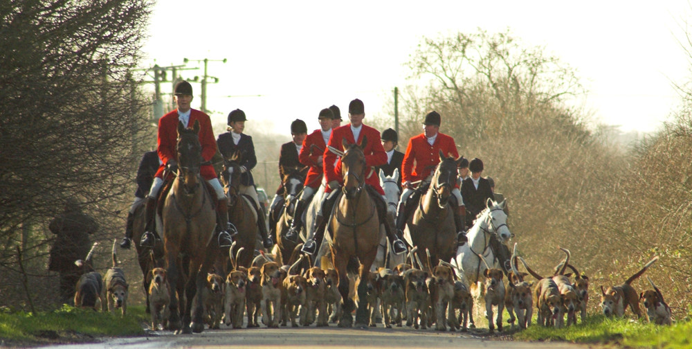 Huntsmen and Hounds