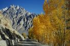 Hunza Valley , Passu von Markus Bibelriether 