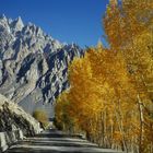 Hunza Valley , Passu