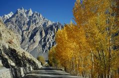 Hunza Valley , Passu