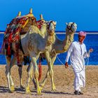 Hurghada - Soma Bay III
