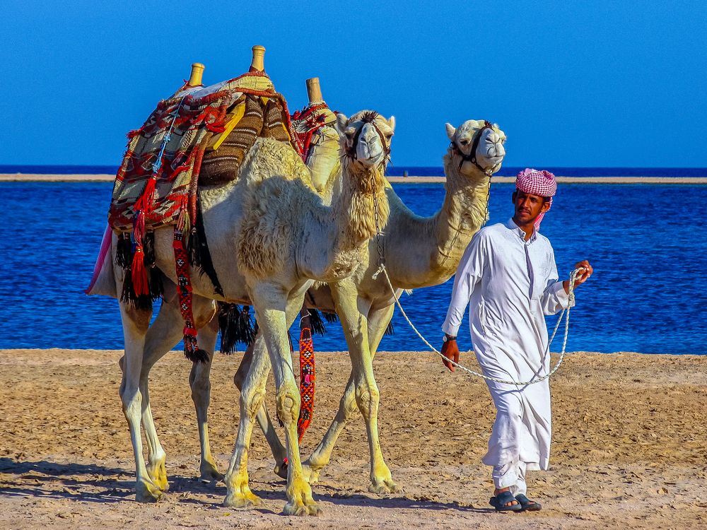 Hurghada - Soma Bay III