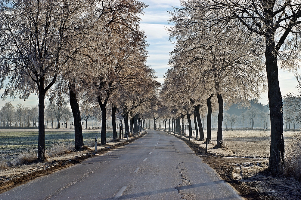 Hurra! Bald ist wieder Winter