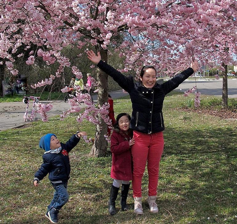 Hurra! Der Frühling ist da!