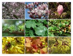 "Hurra, der Frühling ist endlich angekommen"