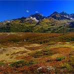 Hurra der Herbst ist da!