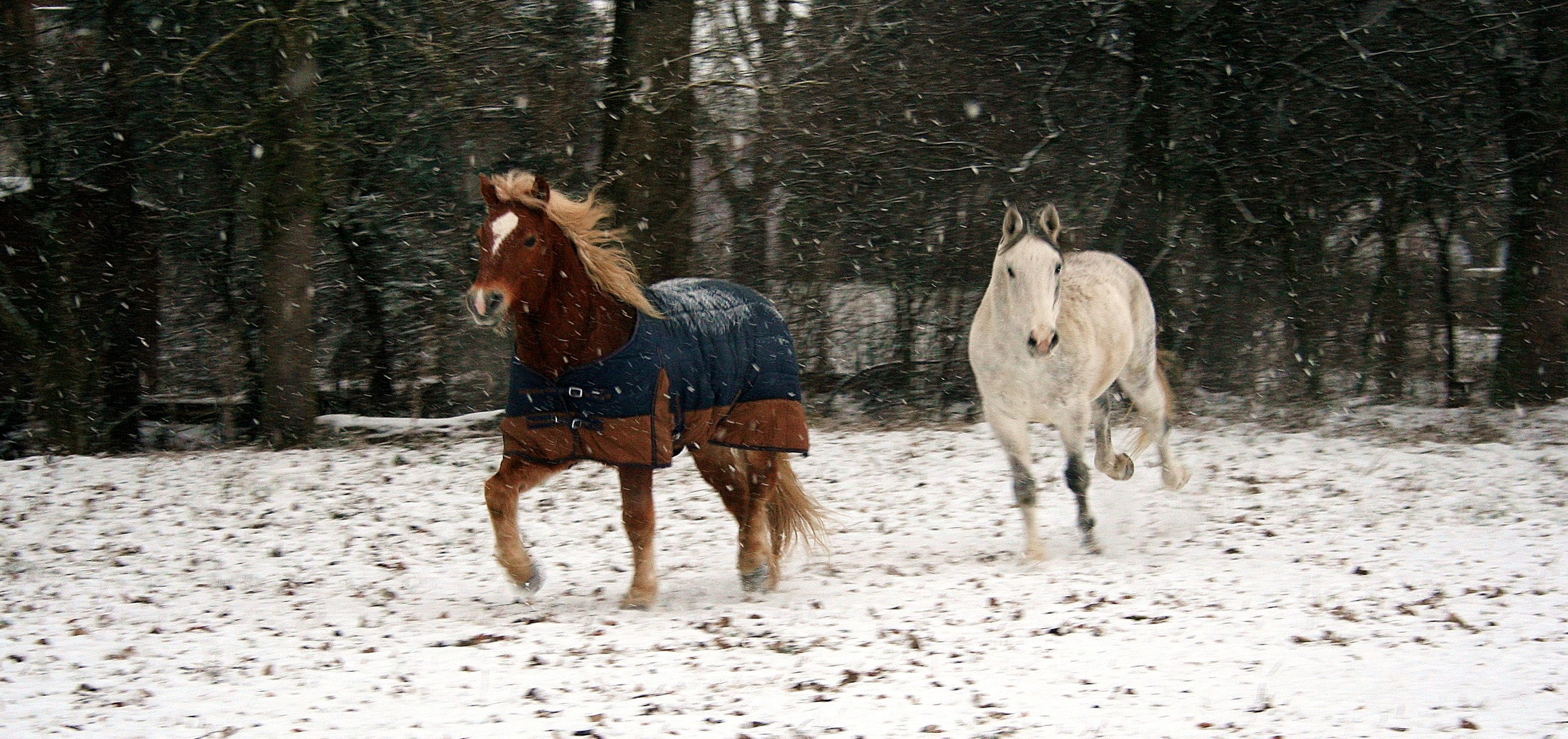 hurra der schnee is da