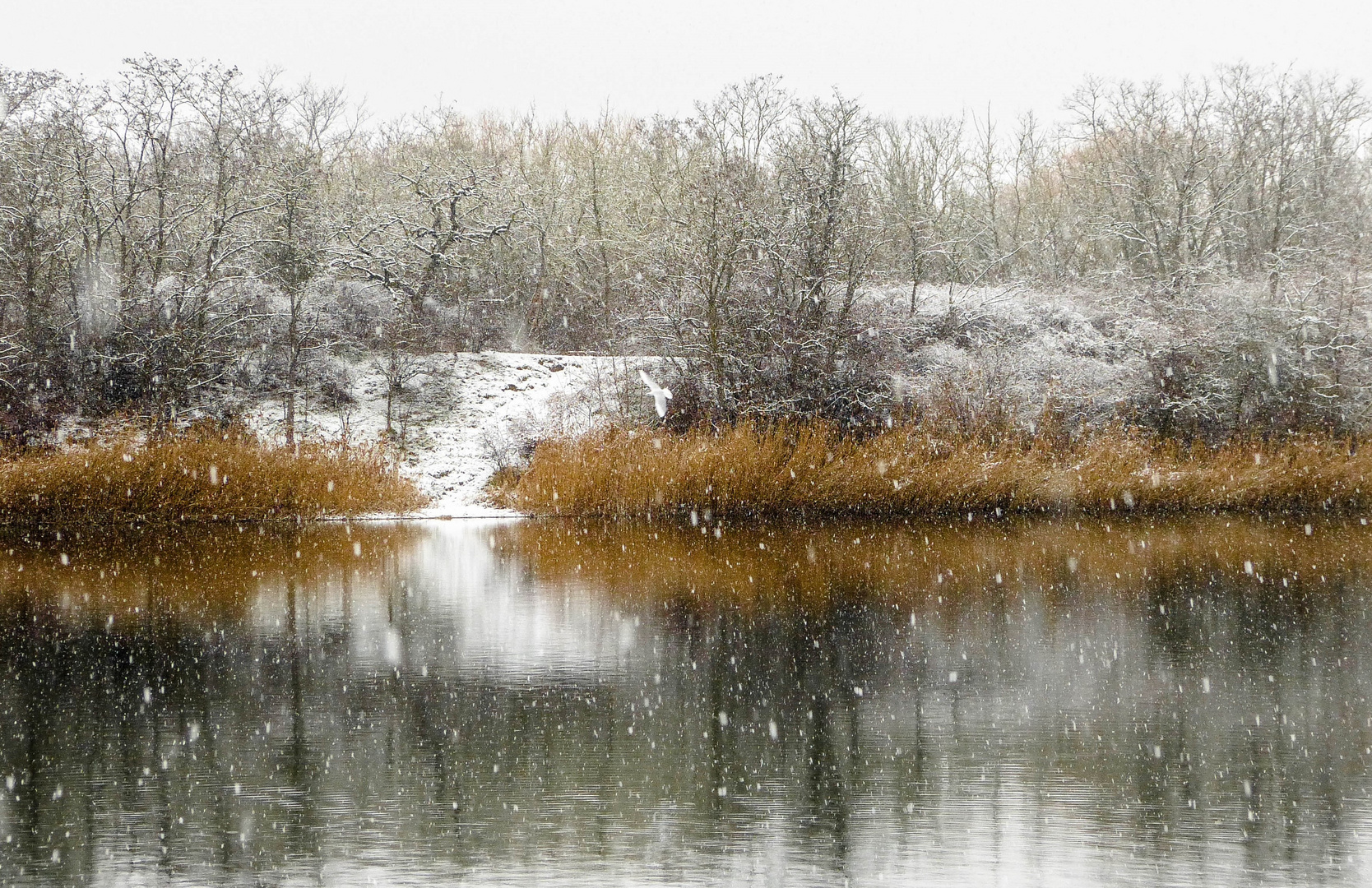 Hurra, es hat geschneit!