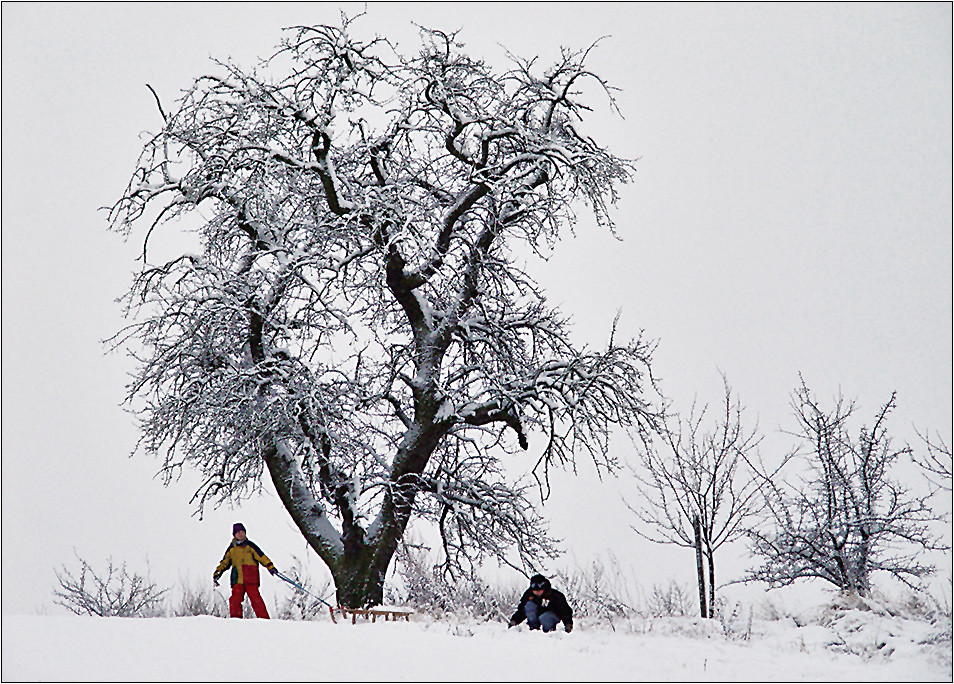 hurra - hurra, der Winter ist da . . .