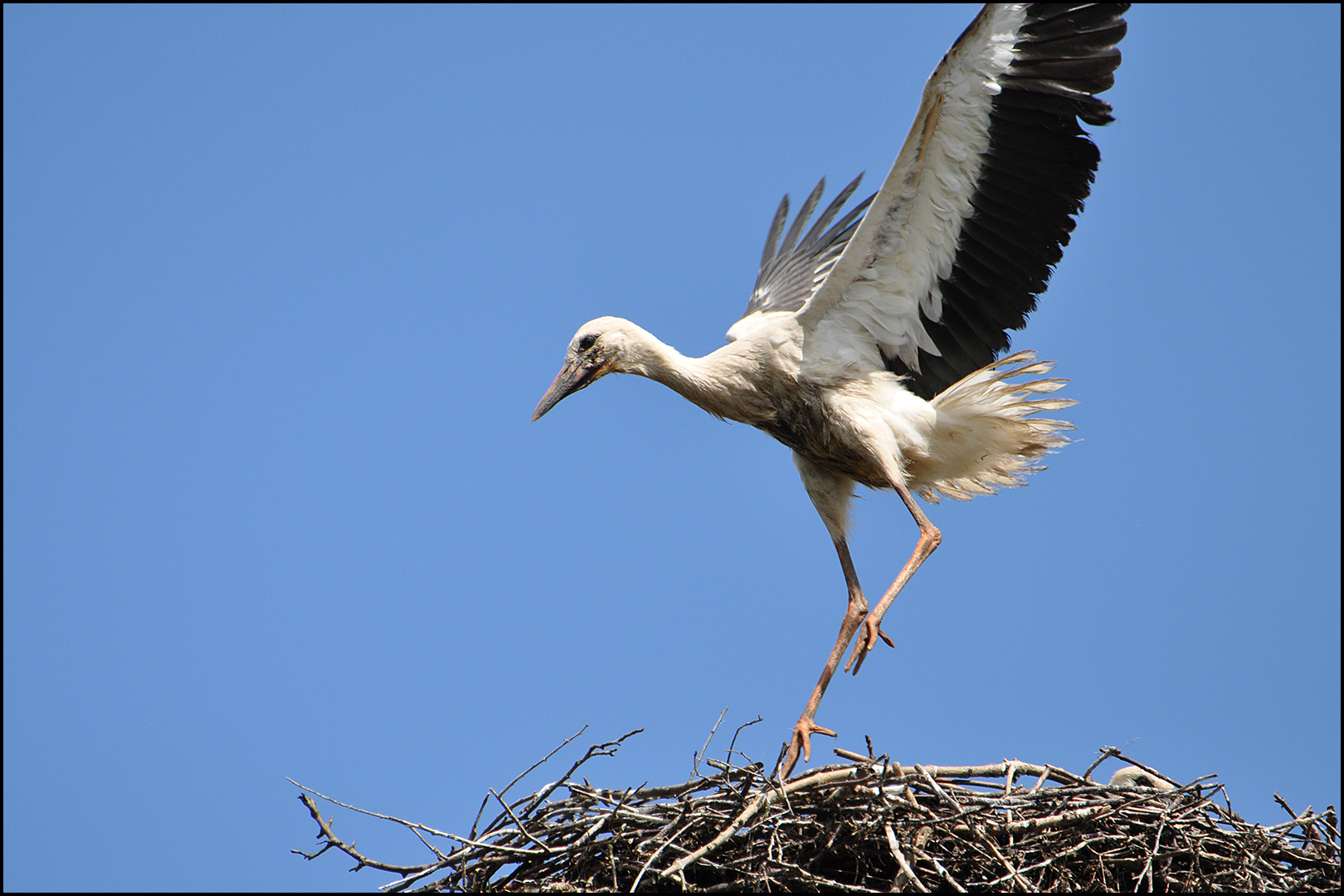 "Hurra, ich kann (fast) fliegen!"