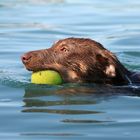 Hurra ... ich kann schwimmen...!