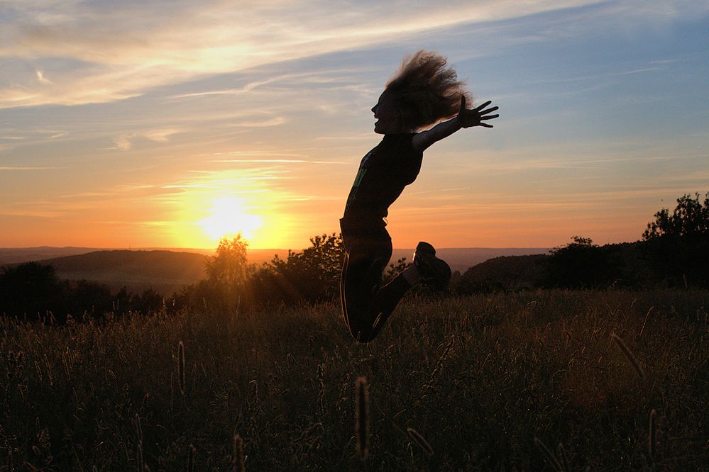 Die Geheimnisse eines perfekten Gartenfestes Die Geheimnisse eines perfekten Gartenfestes
