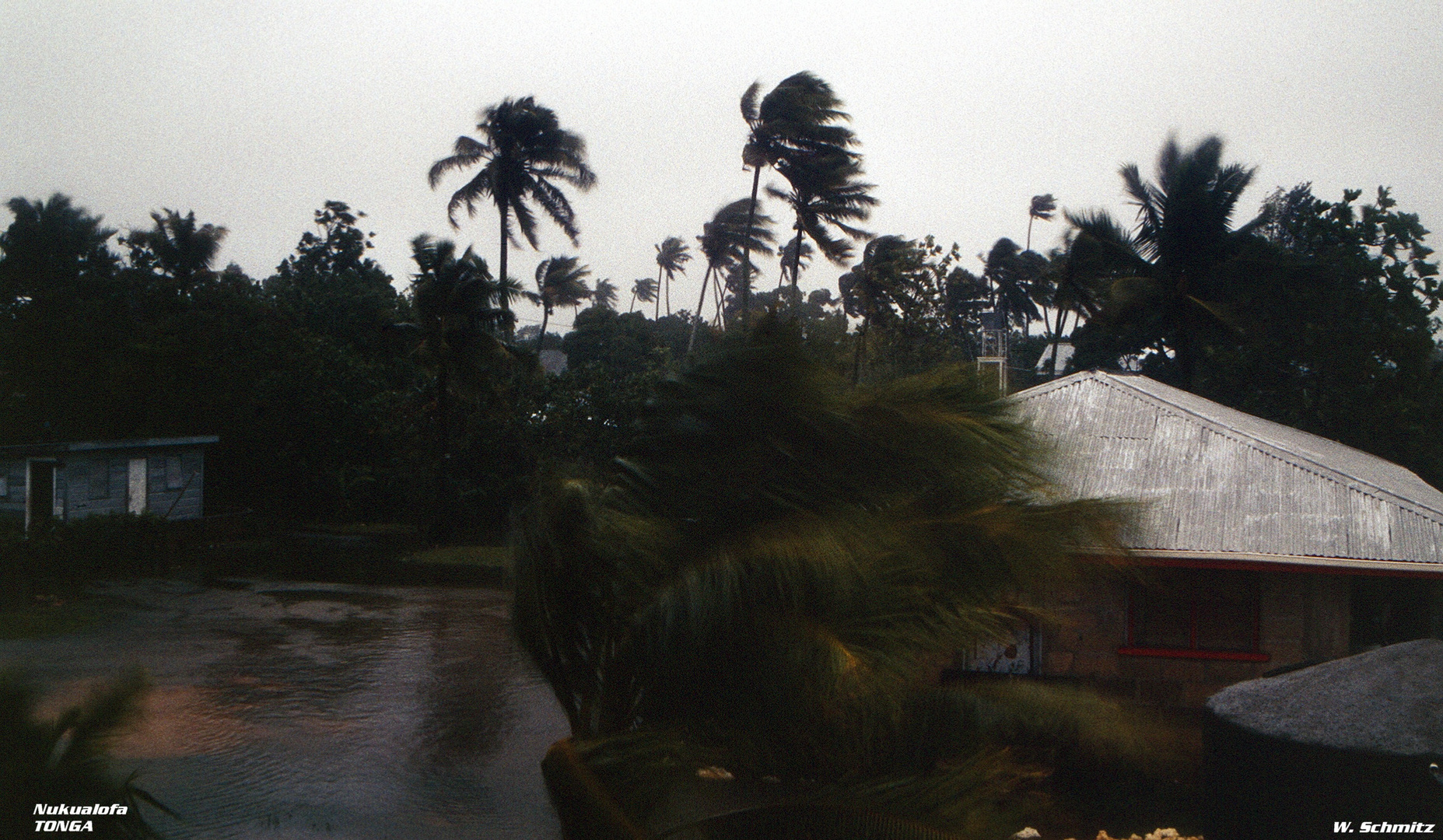 Hurricane in Tonga