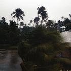 Hurricane in Tonga