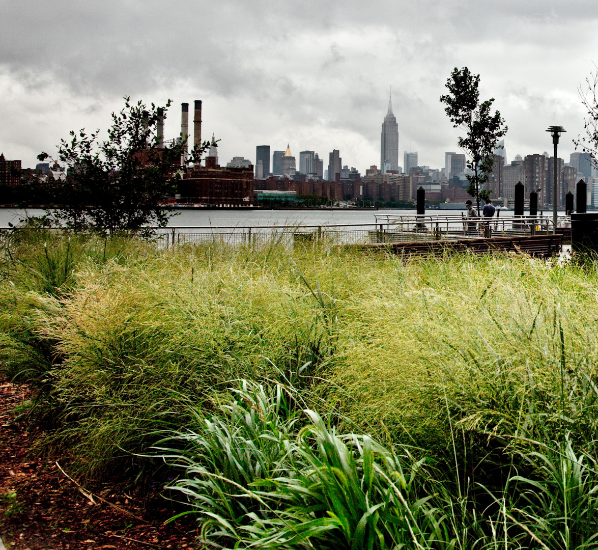 Hurricane Irene in New York City