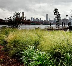 Hurricane Irene in New York City