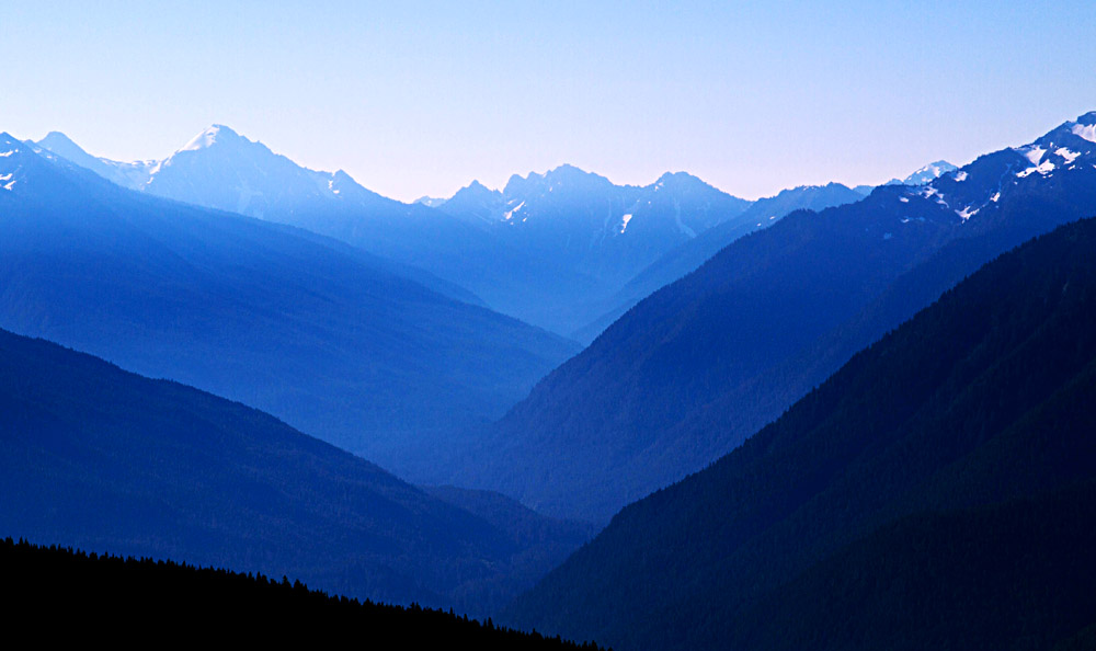 Hurricane Ridge