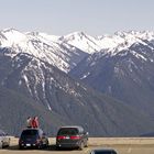 Hurricane Ridge