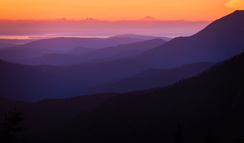 Hurricane Ridge 2