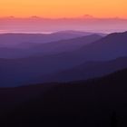 Hurricane Ridge 2