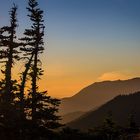 Hurricane Ridge