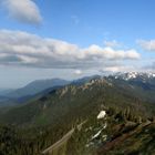 Hurricane Ridge, Olympic National Park Washington / USA