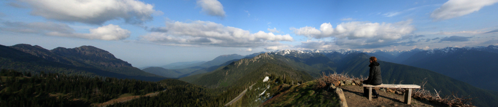 Hurricane Ridge, Olympic National Park Washington / USA