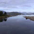 Hurtigruten - Fjord mit Miesmuscheln