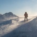 Hurtigruten Tag 6 / Nordkapp