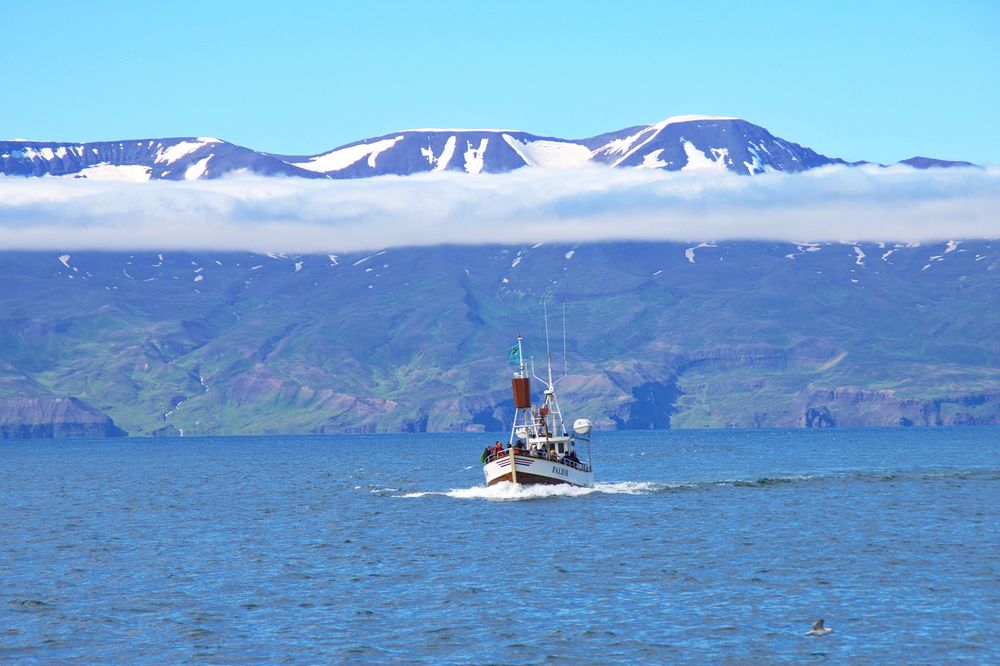 Husavik