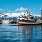 Husavik