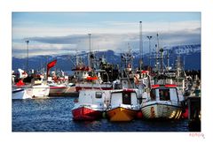 Husavik