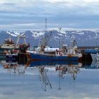 Husavik Hafen