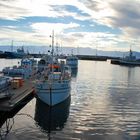 Husavik Sommer