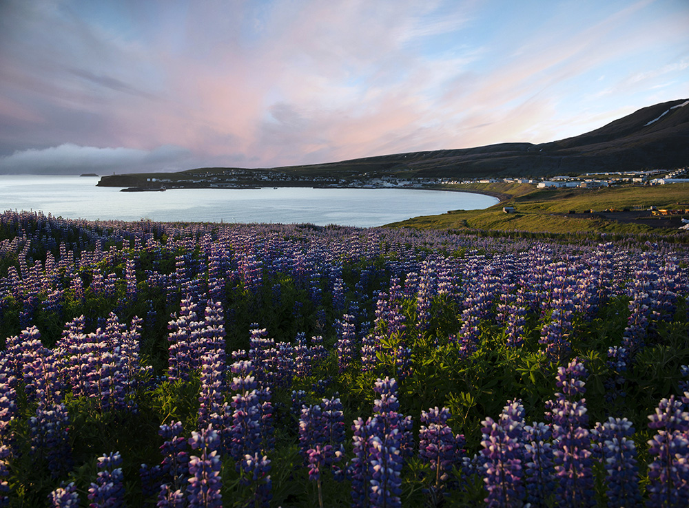 Husavik Sonnenuntergang