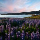 Husavik Sonnenuntergang