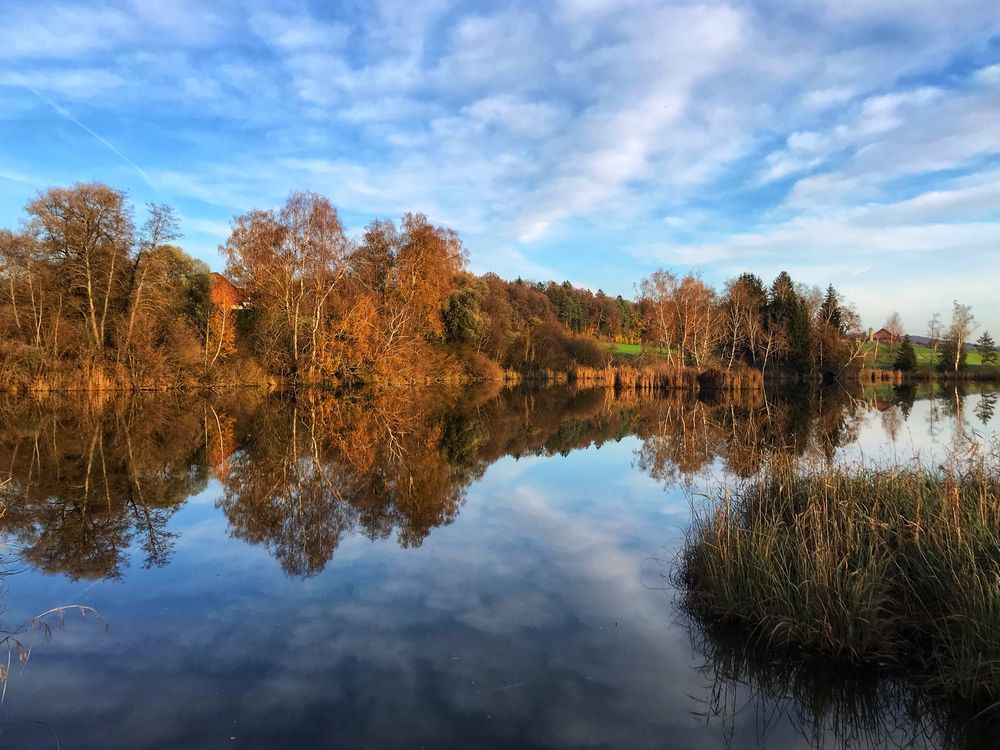 Husemer See im Herbst