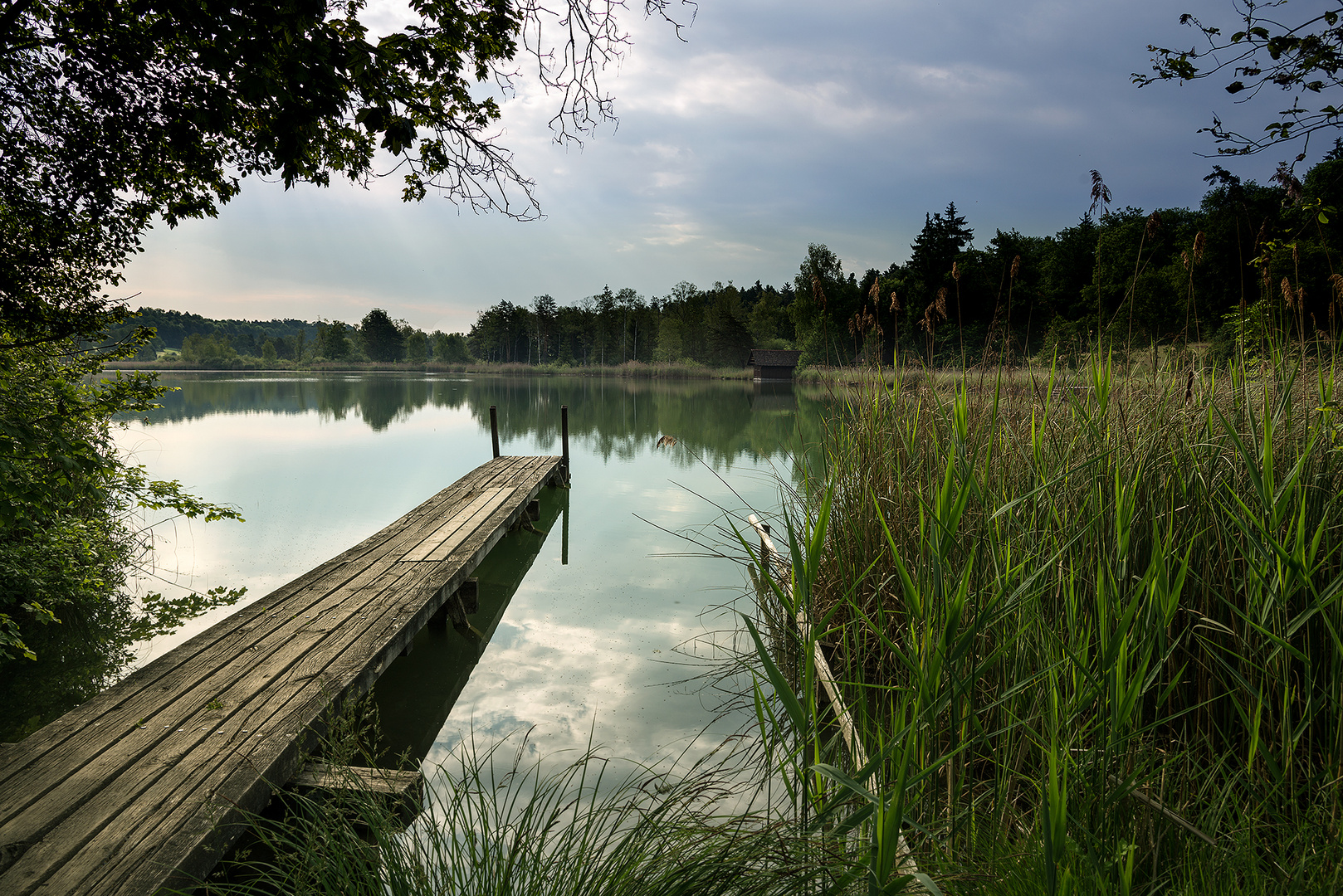 Husemersee bei Ossingen / Schweiz