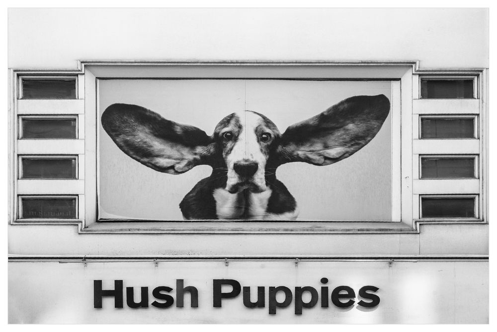 Hush Puppies