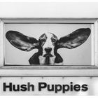 Hush Puppies