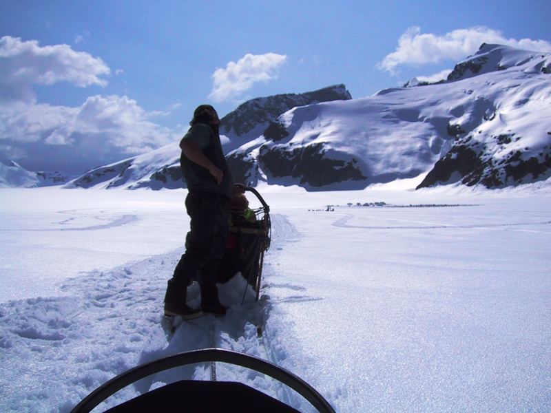 Husky Dog Sled